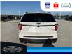 2019 Ford Explorer XLT (Stk: SPMU29971B) in Leamington - Image 7 of 38
