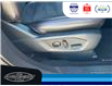 2019 Ford Explorer XLT (Stk: SPMU29971B) in Leamington - Image 18 of 38