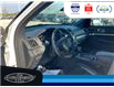 2019 Ford Explorer XLT (Stk: SPMU29971B) in Leamington - Image 27 of 38
