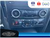 2019 Ford Explorer XLT (Stk: SPMU29971B) in Leamington - Image 35 of 38