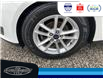 2016 Ford Focus SE (Stk: SP00168P) in Leamington - Image 10 of 29