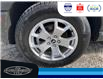 2023 Ford Bronco Sport Base (Stk: SP00170T) in Leamington - Image 11 of 30