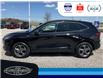2024 Ford Escape ST-Line (Stk: SP00169T) in Leamington - Image 9 of 32