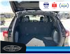 2024 Ford Escape ST-Line (Stk: SP00169T) in Leamington - Image 12 of 32