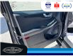 2024 Ford Escape ST-Line (Stk: SP00169T) in Leamington - Image 20 of 32