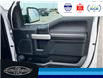 2019 Ford F-150 Lariat (Stk: SPFF00175B) in Leamington - Image 15 of 34