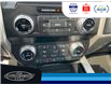 2019 Ford F-150 Lariat (Stk: SPFF00175B) in Leamington - Image 31 of 34