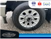 2022 Ford F-250 XLT (Stk: SP00177P) in Leamington - Image 11 of 30