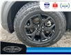 2023 Ford Explorer Timberline (Stk: SPEP00359A) in Leamington - Image 11 of 36