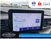 2023 Ford Explorer Timberline (Stk: SPEP00359A) in Leamington - Image 32 of 36