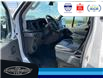2023 Ford Transit-250 Cargo Base (Stk: SP00178T) in Leamington - Image 19 of 28