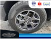 2024 Ford Bronco Sport Badlands (Stk: SP00181M) in Leamington - Image 11 of 36