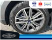 2022 Ford Edge Titanium (Stk: SPEX00397A) in Leamington - Image 11 of 34