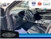 2022 Ford Edge Titanium (Stk: SPEX00397A) in Leamington - Image 23 of 34