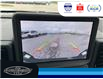 2024 Ford Bronco Sport Outer Banks (Stk: SP00182M) in Leamington - Image 30 of 35