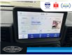2024 Ford Bronco Sport Outer Banks (Stk: SP00182M) in Leamington - Image 31 of 35