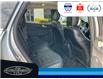 2024 Ford Escape PHEV (Stk: SP00185M) in Leamington - Image 15 of 36