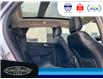 2024 Ford Escape PHEV (Stk: SP00185M) in Leamington - Image 16 of 36
