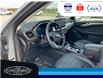 2024 Ford Escape PHEV (Stk: SP00185M) in Leamington - Image 24 of 36