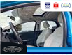 2016 Ford Focus Titanium (Stk: SPEX00905C) in Leamington - Image 22 of 32