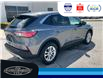 2022 Ford Escape SE (Stk: SP00187R) in Leamington - Image 6 of 33