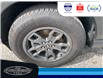 2024 Ford Bronco Sport Big Bend (Stk: SP00128M) in Leamington - Image 11 of 27