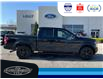 2020 Ford F-150 XLT (Stk: SPBR00418A) in Leamington - Image 4 of 31