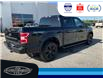 2020 Ford F-150 XLT (Stk: SPBR00418A) in Leamington - Image 6 of 31