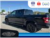 2020 Ford F-150 XLT (Stk: SPBR00418A) in Leamington - Image 8 of 31
