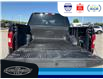 2020 Ford F-150 XLT (Stk: SPBR00418A) in Leamington - Image 12 of 31