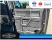 2020 Ford F-150 XLT (Stk: SPBR00418A) in Leamington - Image 13 of 31