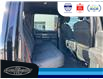2020 Ford F-150 XLT (Stk: SPBR00418A) in Leamington - Image 14 of 31