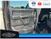 2020 Ford F-150 XLT (Stk: SPBR00418A) in Leamington - Image 17 of 31