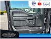 2020 Ford F-150 XLT (Stk: SPBR00418A) in Leamington - Image 19 of 31