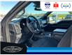2020 Ford F-150 XLT (Stk: SPBR00418A) in Leamington - Image 21 of 31
