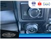 2020 Ford F-150 XLT (Stk: SPBR00418A) in Leamington - Image 28 of 31