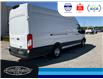2023 Ford Transit-250 Cargo Base (Stk: SP00188T) in Leamington - Image 6 of 29