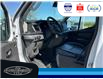 2023 Ford Transit-250 Cargo Base (Stk: SP00188T) in Leamington - Image 19 of 29