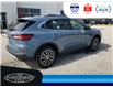 2024 Ford Escape PHEV (Stk: SP00192M) in Leamington - Image 6 of 37