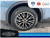 2024 Ford Escape PHEV (Stk: SP00192M) in Leamington - Image 11 of 37