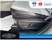 2024 Ford Escape PHEV (Stk: SP00192M) in Leamington - Image 25 of 37