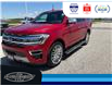 2022 Ford Expedition Platinum (Stk: SP00195T) in Leamington - Image 10 of 38