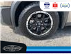2024 Nissan Pathfinder Rock Creek (Stk: SP00178A) in Leamington - Image 11 of 35