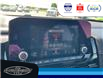 2024 Nissan Pathfinder Rock Creek (Stk: SP00178A) in Leamington - Image 29 of 35