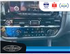 2024 Nissan Pathfinder Rock Creek (Stk: SP00178A) in Leamington - Image 30 of 35
