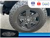 2024 Ford Bronco Black Diamond (Stk: SP00198T) in Leamington - Image 11 of 31