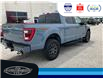 2023 Ford F-150 Tremor (Stk: SPFF00460A) in Leamington - Image 6 of 38