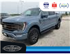 2023 Ford F-150 Tremor (Stk: SPFF00460A) in Leamington - Image 10 of 38