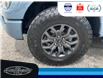 2023 Ford F-150 Tremor (Stk: SPFF00460A) in Leamington - Image 11 of 38