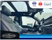 2023 Ford F-150 Tremor (Stk: SPFF00460A) in Leamington - Image 19 of 38